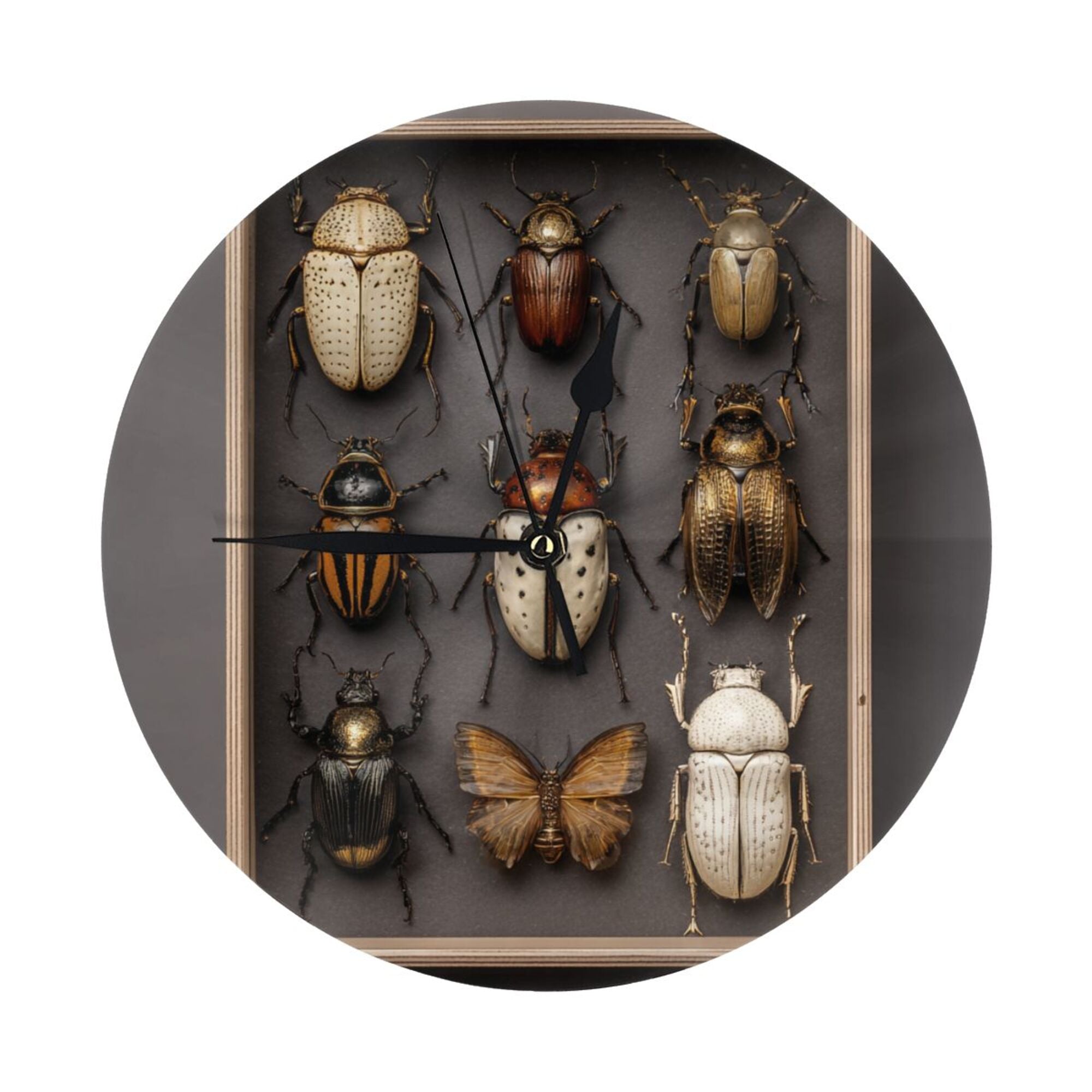 Insect Specimen Art Round Wall Clock - Vintage Natural History Style Decorative Clock for Living Room & Study (Diameter 9.84in/25cm, Thickness 0.2in/0.5cm)
