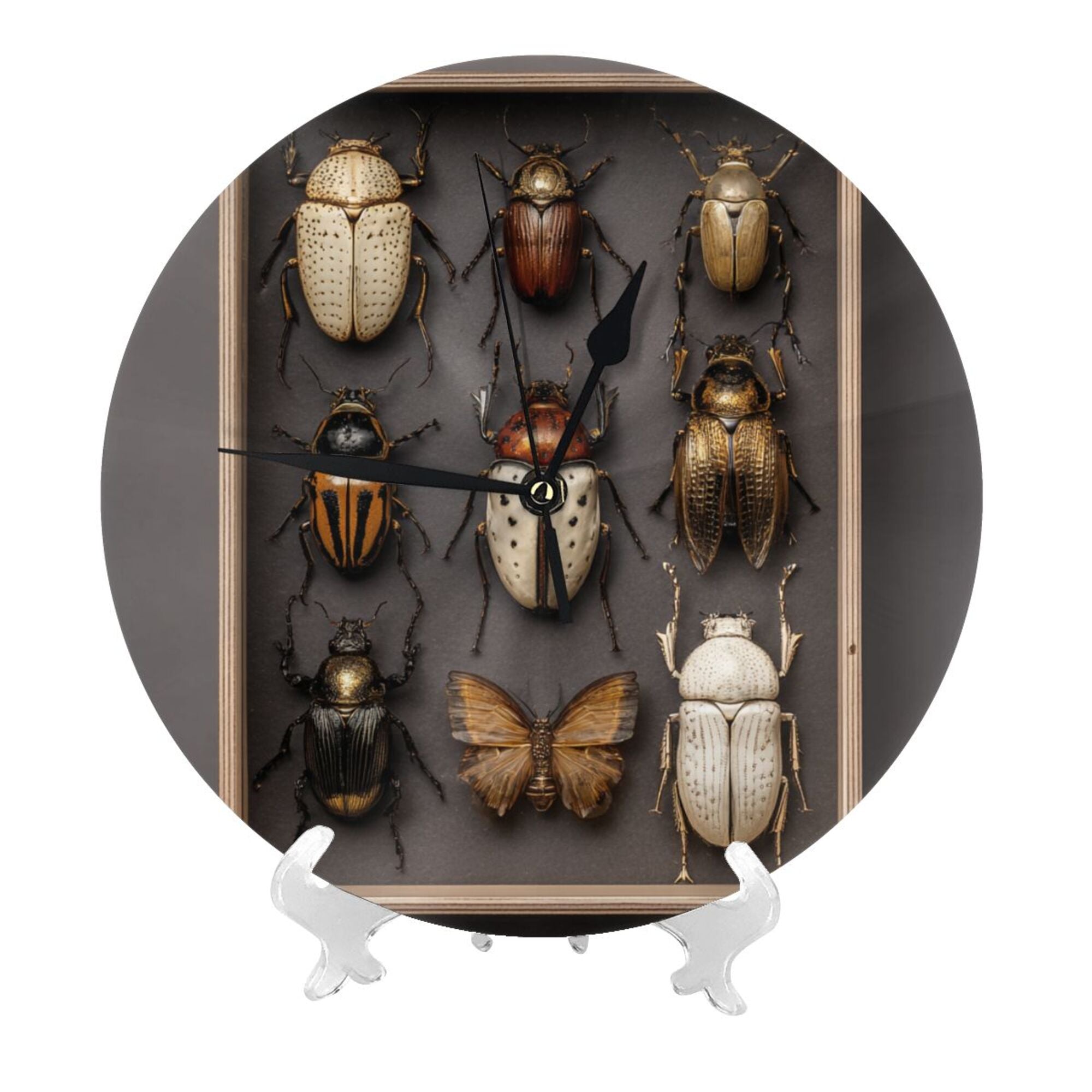 Insect Specimen Art Round Wall Clock - Vintage Natural History Style Decorative Clock for Living Room & Study (Diameter 9.84in/25cm, Thickness 0.2in/0.5cm)