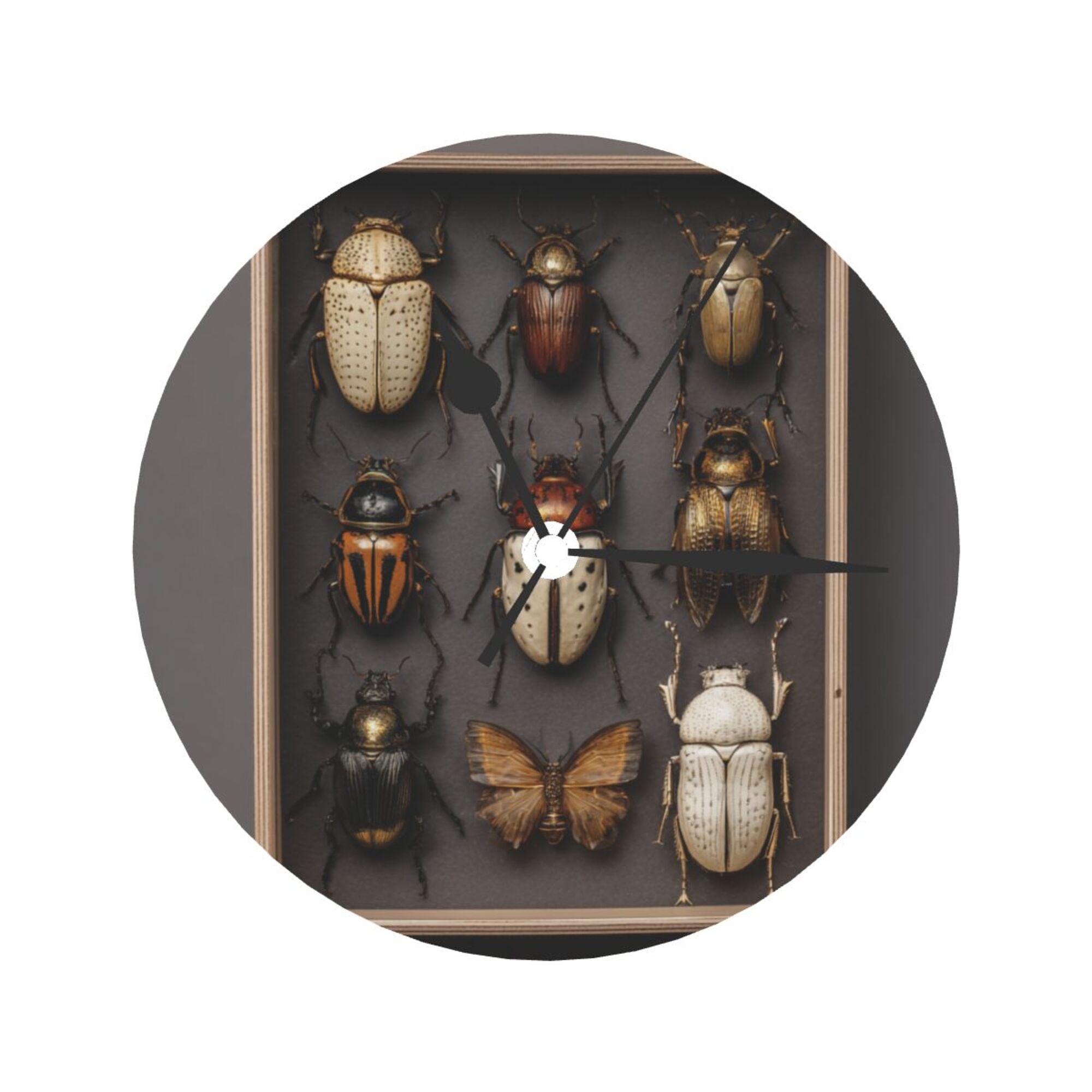 Insect Specimen Art Round Wall Clock - Vintage Natural History Style Decorative Clock for Living Room & Study (Diameter 9.84in/25cm, Thickness 0.2in/0.5cm)
