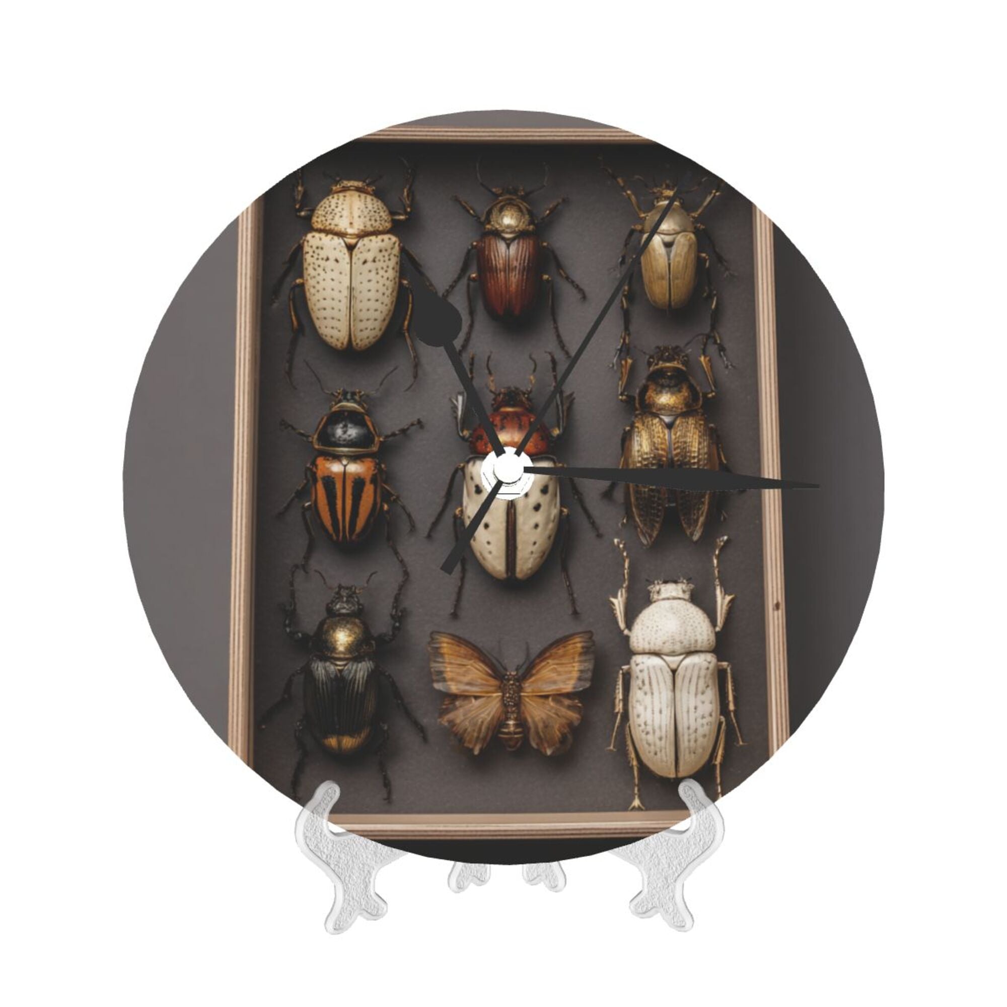 Insect Specimen Art Round Wall Clock - Vintage Natural History Style Decorative Clock for Living Room & Study (Diameter 9.84in/25cm, Thickness 0.2in/0.5cm)