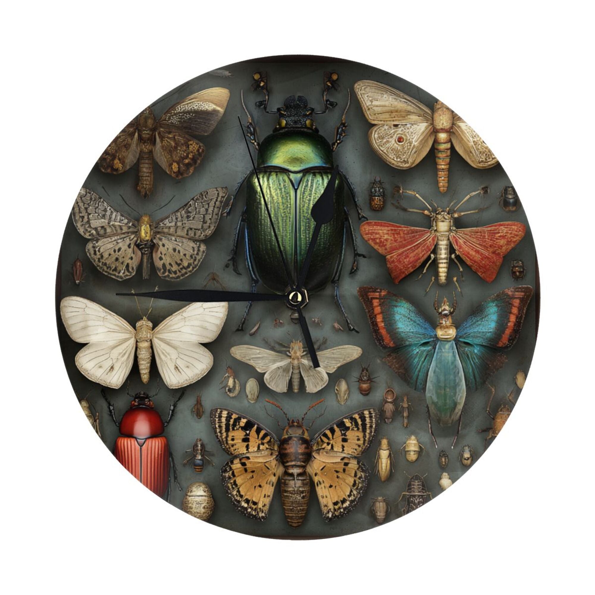 Vintage Insect Atlas Round Wall Clock - Natural History Style Decorative Clock for Living Room & Study (Diameter 9.84in/25cm, Thickness 0.2in/0.5cm)