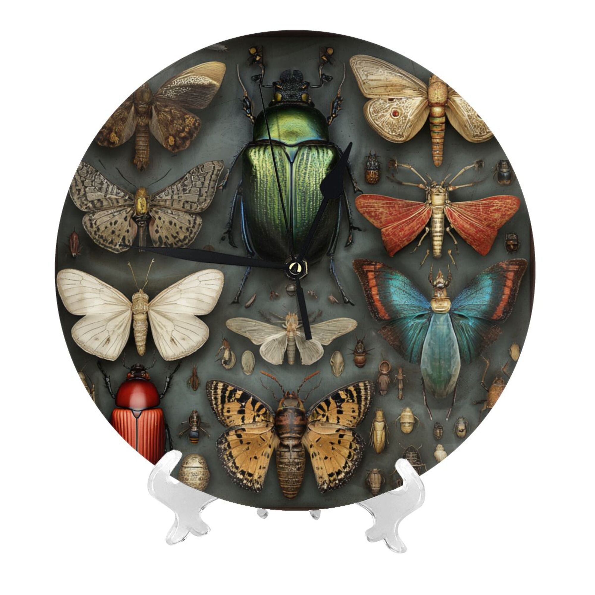 Vintage Insect Atlas Round Wall Clock - Natural History Style Decorative Clock for Living Room & Study (Diameter 9.84in/25cm, Thickness 0.2in/0.5cm)