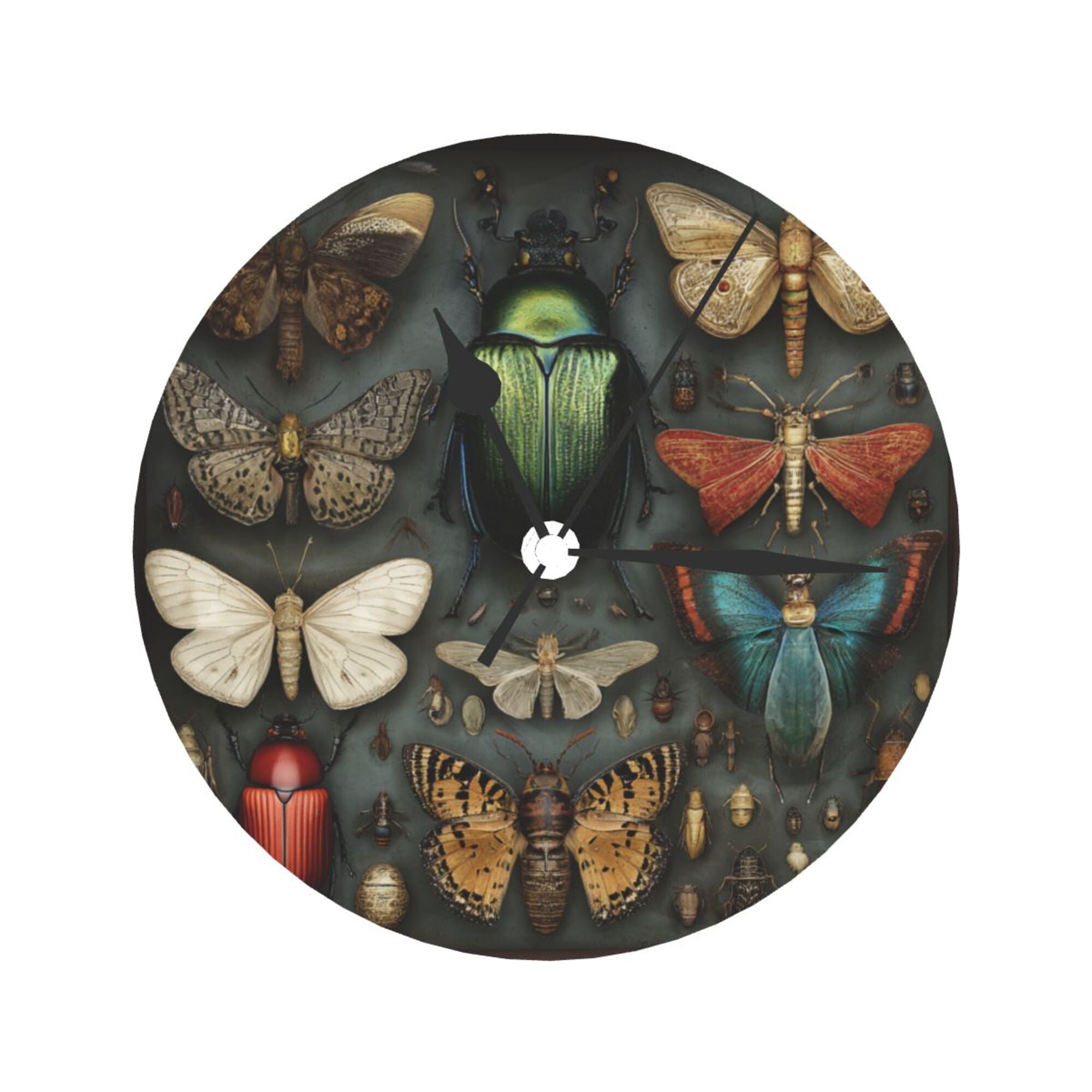 Vintage Insect Atlas Round Wall Clock - Natural History Style Decorative Clock for Living Room & Study (Diameter 9.84in/25cm, Thickness 0.2in/0.5cm)