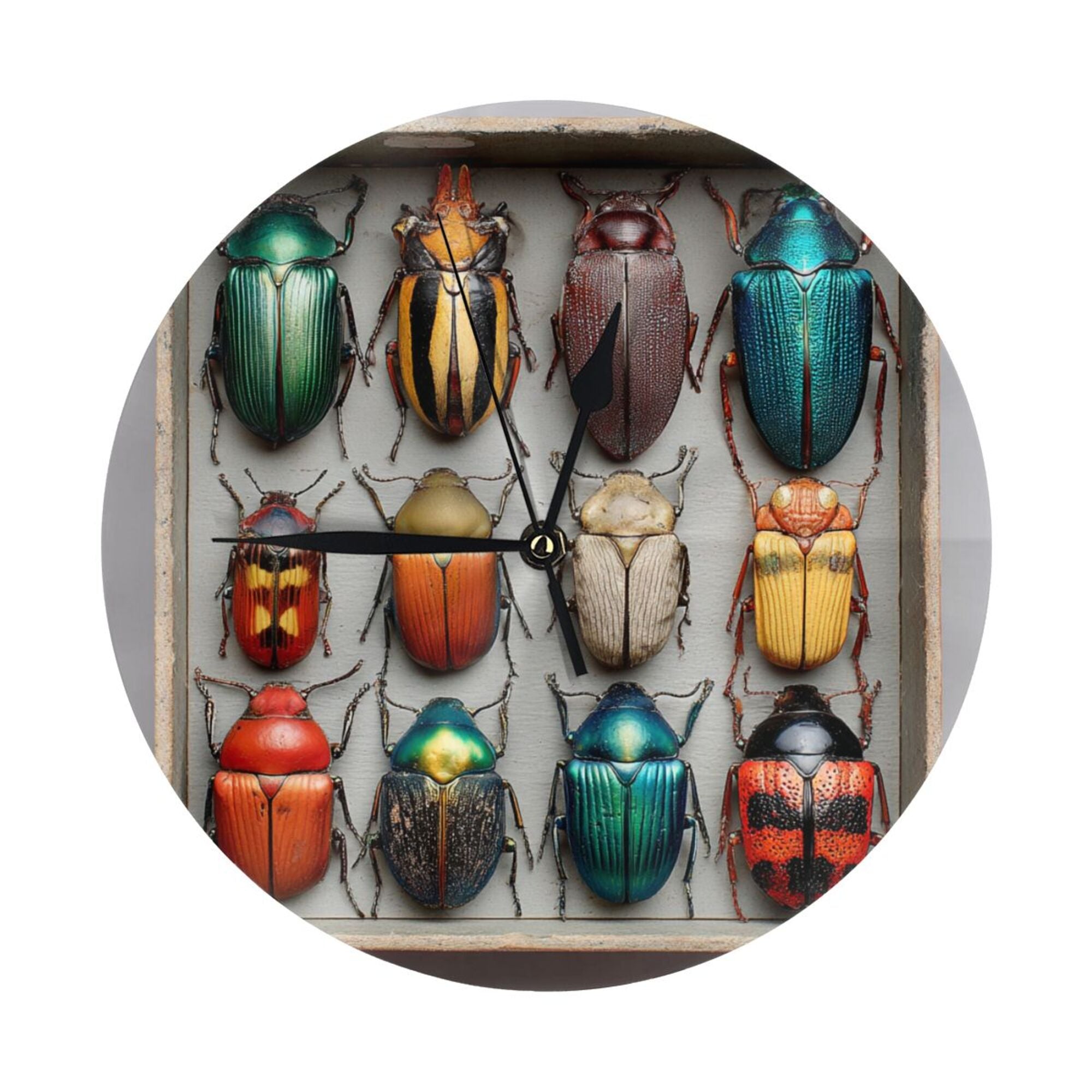 Colorful Beetle Specimen Round Wall Clock - Vintage Natural History Style Decorative Clock for Living Room & Study (Diameter 9.84in/25cm, Thickness 0.2in/0.5cm)