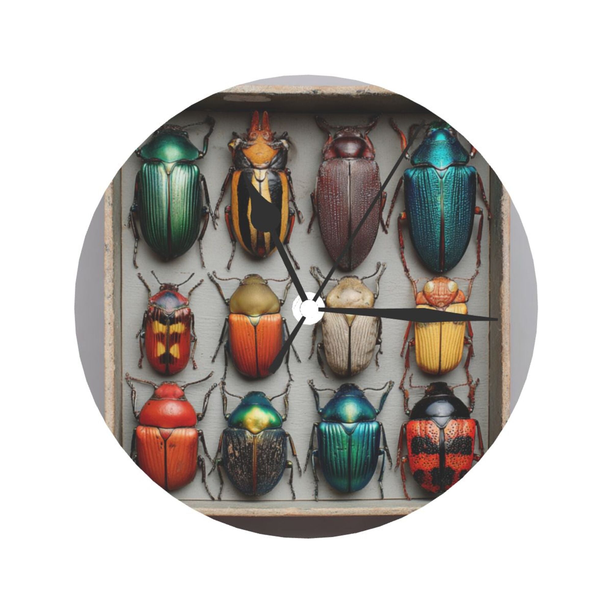 Colorful Beetle Specimen Round Wall Clock - Vintage Natural History Style Decorative Clock for Living Room & Study (Diameter 9.84in/25cm, Thickness 0.2in/0.5cm)