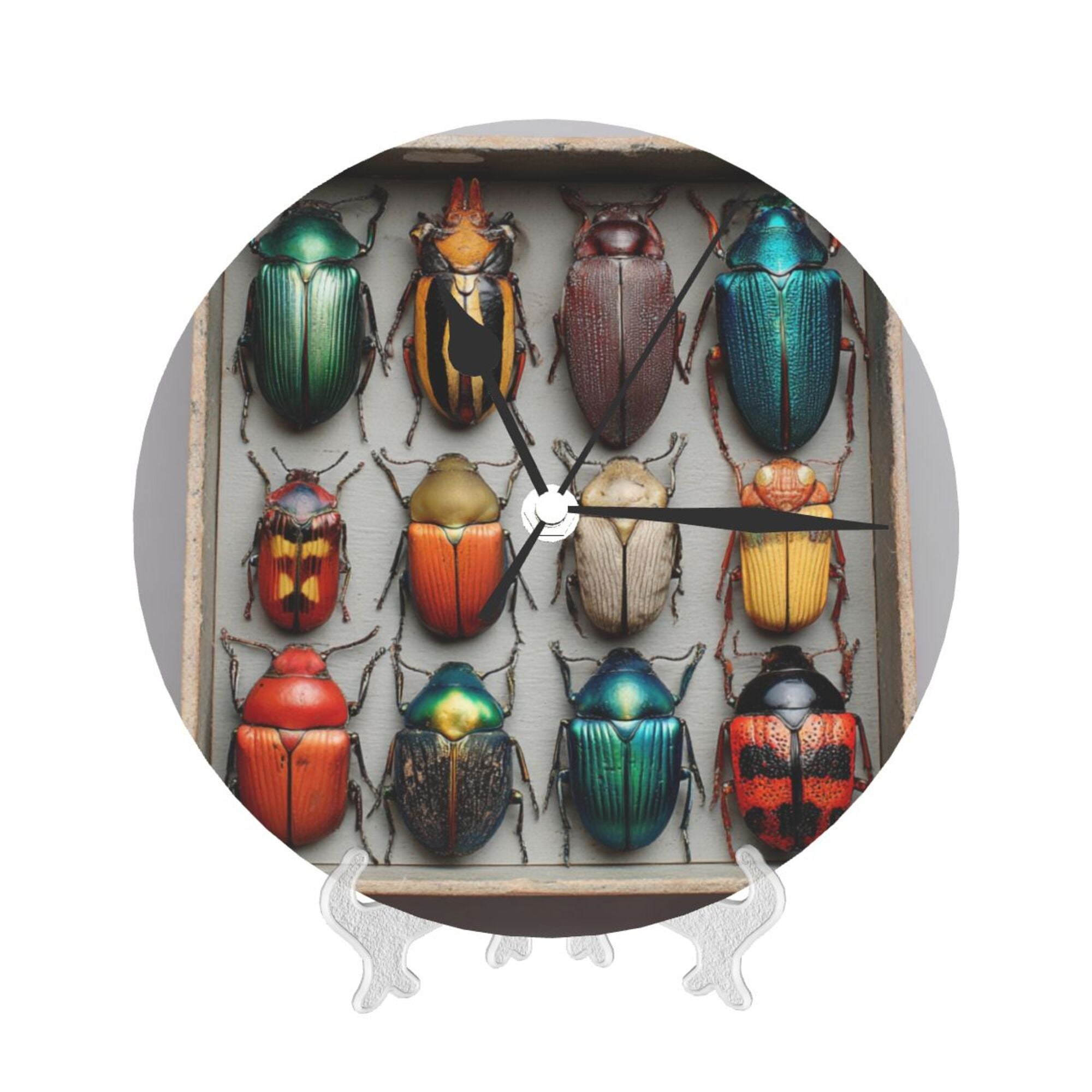 Colorful Beetle Specimen Round Wall Clock - Vintage Natural History Style Decorative Clock for Living Room & Study (Diameter 9.84in/25cm, Thickness 0.2in/0.5cm)
