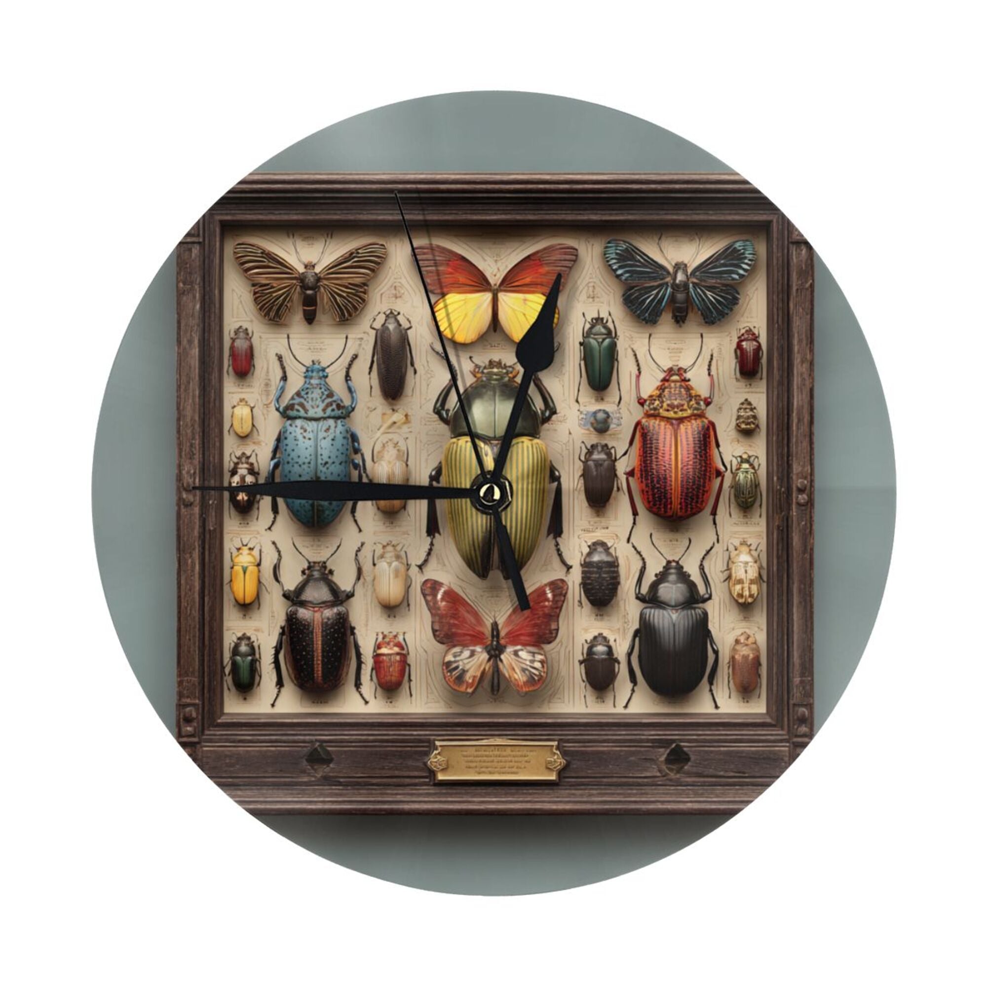 Vintage Insect Specimen Frame Round Wall Clock - Natural History Style Decorative Clock for Living Room & Study (Diameter 9.84in/25cm, Thickness 0.2in/0.5cm)