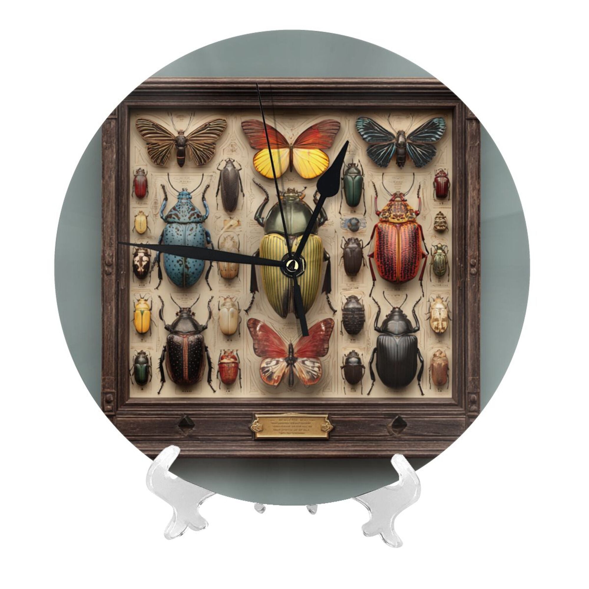 Vintage Insect Specimen Frame Round Wall Clock - Natural History Style Decorative Clock for Living Room & Study (Diameter 9.84in/25cm, Thickness 0.2in/0.5cm)