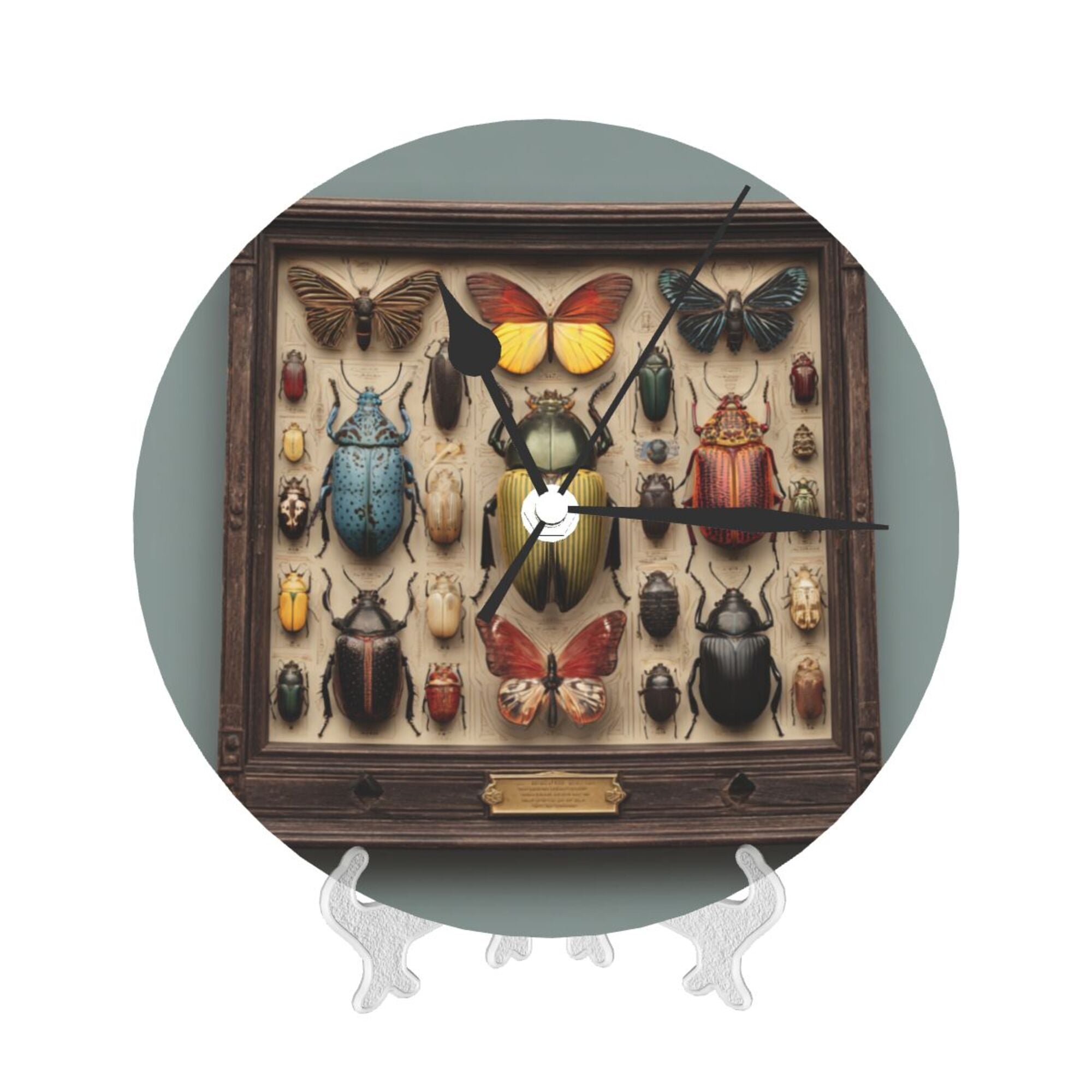 Vintage Insect Specimen Frame Round Wall Clock - Natural History Style Decorative Clock for Living Room & Study (Diameter 9.84in/25cm, Thickness 0.2in/0.5cm)